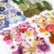 110+PCS Real Pressed Dried Flowers & Leaves for Resin, Jewelry, Soap, Candle, Scrapbooking, Nails, and DIY Crafts – Colorful Assorted Botanical Set with Tweezers (Colorful-c)